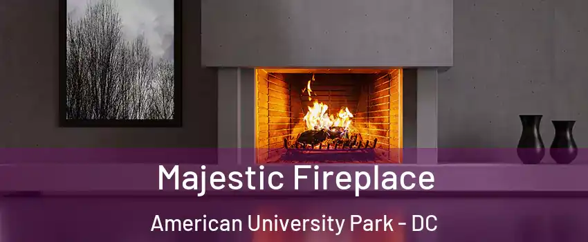 Majestic Fireplace American University Park - DC