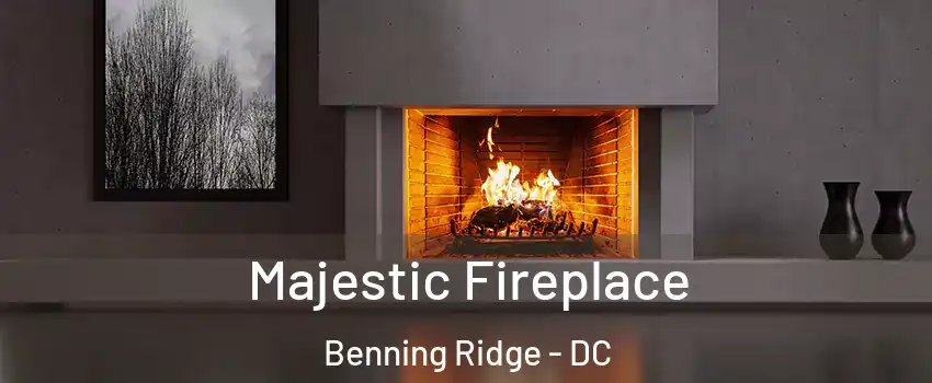 Majestic Fireplace Benning Ridge - DC