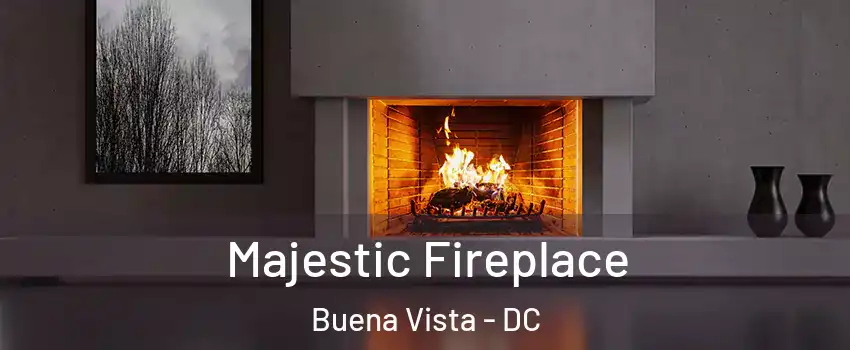 Majestic Fireplace Buena Vista - DC