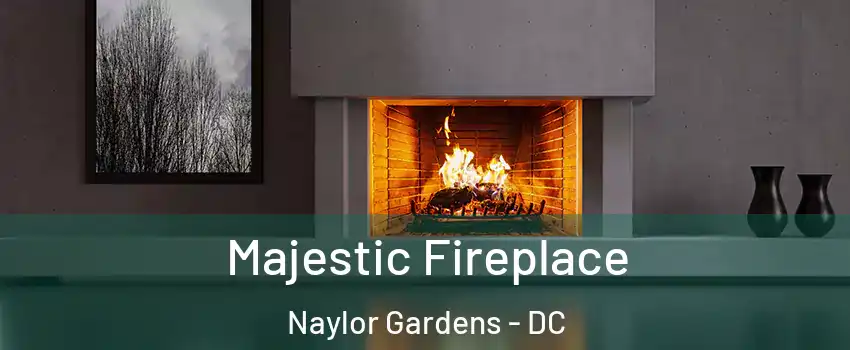 Majestic Fireplace Naylor Gardens - DC