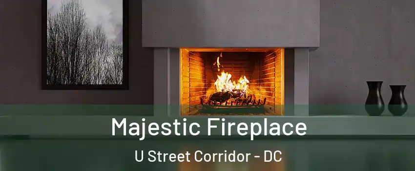 Majestic Fireplace U Street Corridor - DC