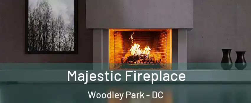 Majestic Fireplace Woodley Park - DC