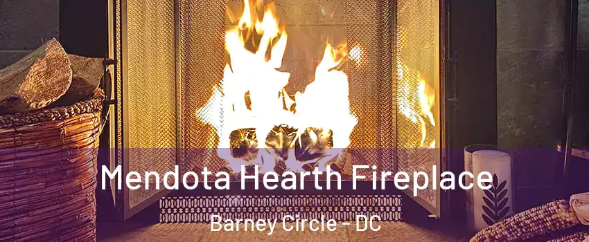 Mendota Hearth Fireplace Barney Circle - DC