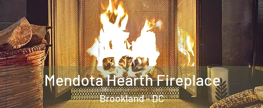 Mendota Hearth Fireplace Brookland - DC