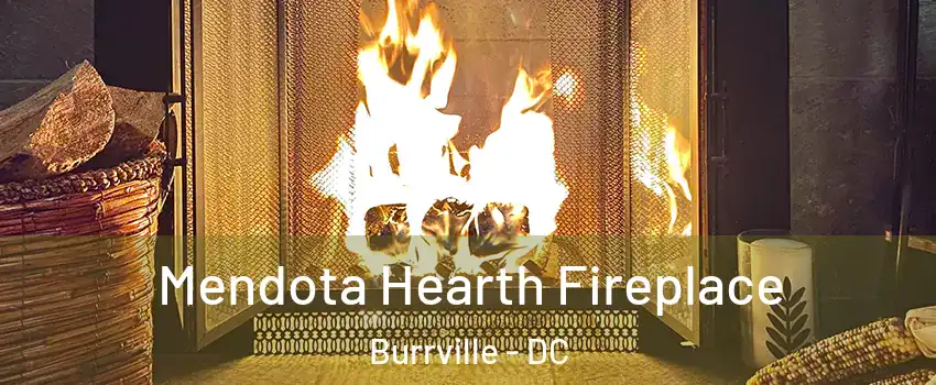 Mendota Hearth Fireplace Burrville - DC