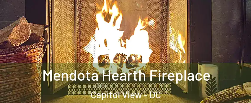 Mendota Hearth Fireplace Capitol View - DC