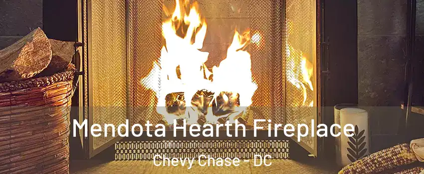 Mendota Hearth Fireplace Chevy Chase - DC