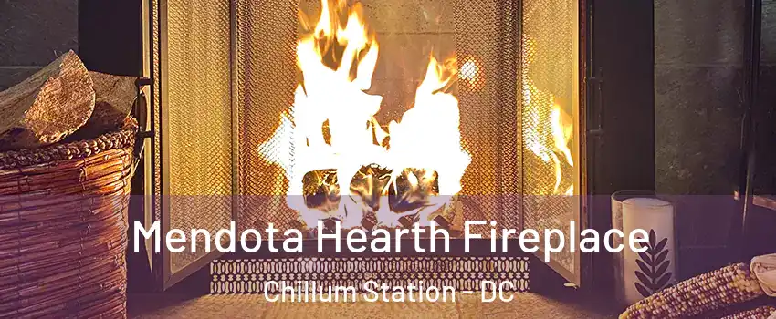 Mendota Hearth Fireplace Chillum Station - DC