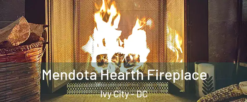 Mendota Hearth Fireplace Ivy City - DC