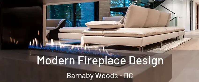 Modern Fireplace Design Barnaby Woods - DC