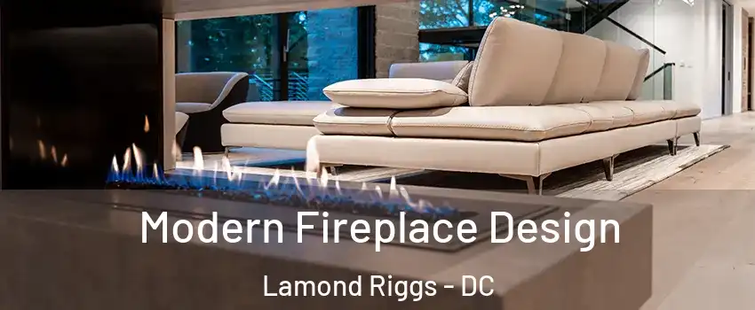 Modern Fireplace Design Lamond Riggs - DC