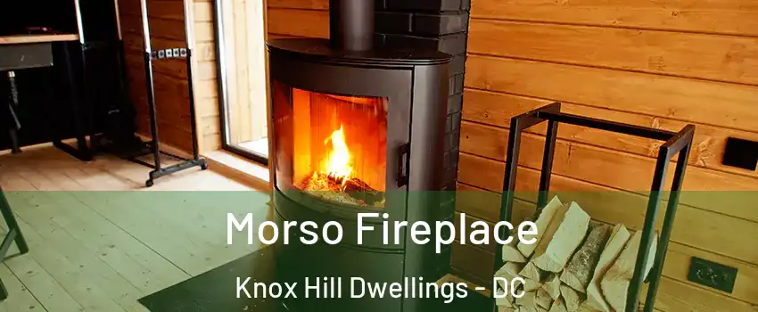 Morso Fireplace Knox Hill Dwellings - DC