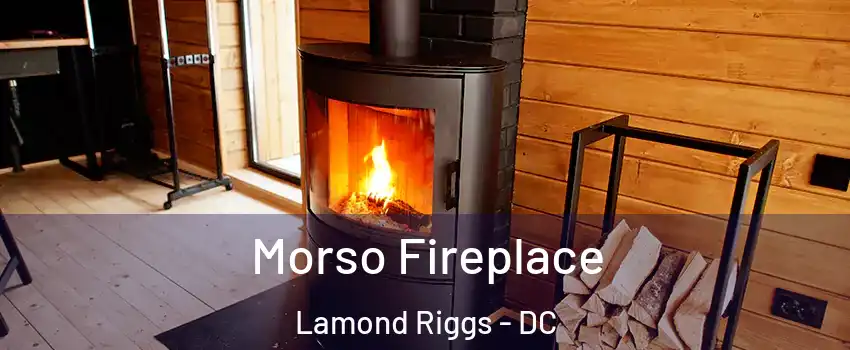 Morso Fireplace Lamond Riggs - DC