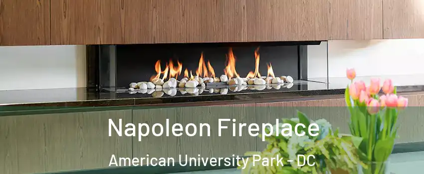 Napoleon Fireplace American University Park - DC