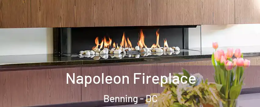 Napoleon Fireplace Benning - DC