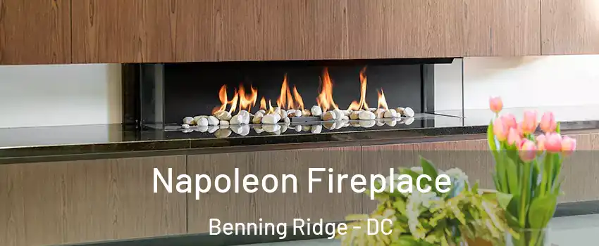 Napoleon Fireplace Benning Ridge - DC