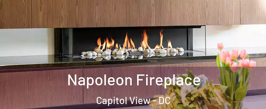 Napoleon Fireplace Capitol View - DC