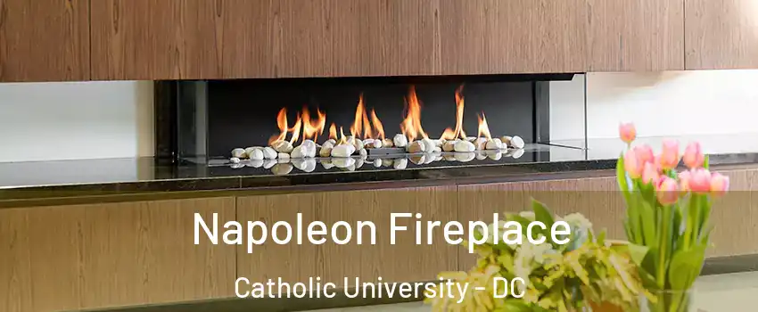 Napoleon Fireplace Catholic University - DC