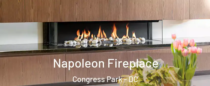 Napoleon Fireplace Congress Park - DC