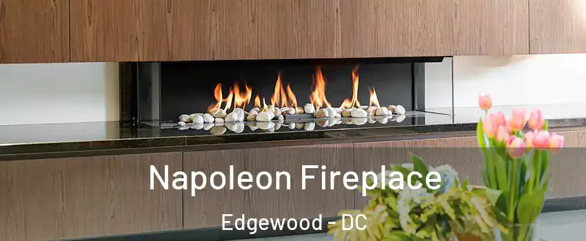 Napoleon Fireplace Edgewood - DC