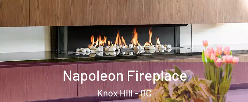 Napoleon Fireplace Knox Hill - DC