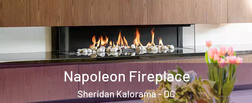 Napoleon Fireplace Sheridan Kalorama - DC