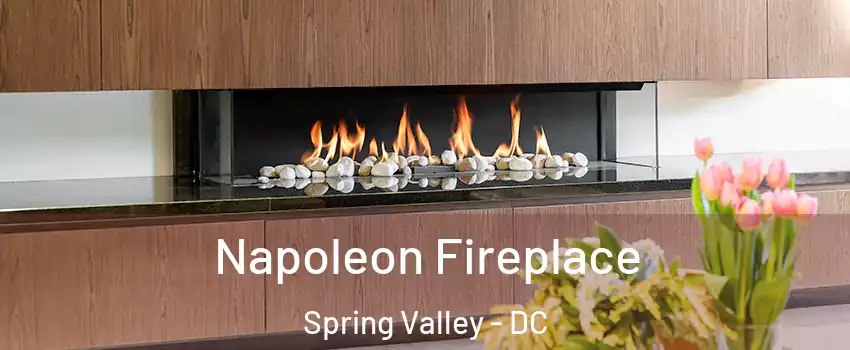 Napoleon Fireplace Spring Valley - DC