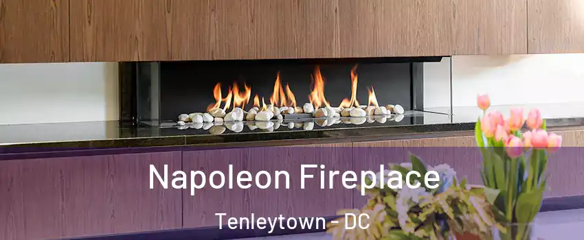 Napoleon Fireplace Tenleytown - DC