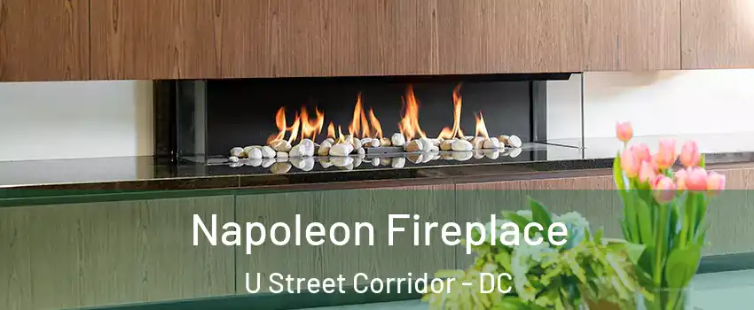 Napoleon Fireplace U Street Corridor - DC