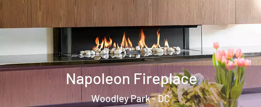 Napoleon Fireplace Woodley Park - DC