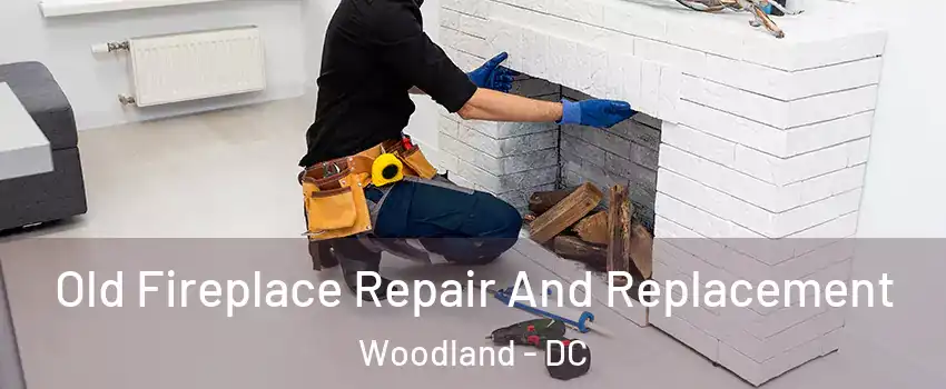 Old Fireplace Repair And Replacement Woodland - DC