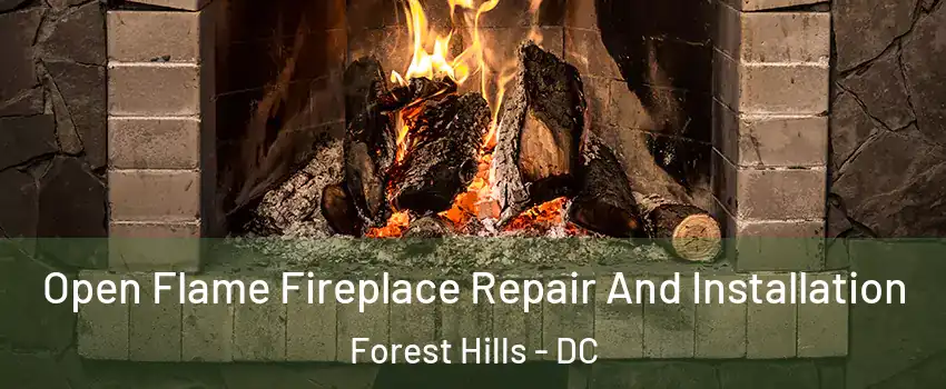 Open Flame Fireplace Repair And Installation Forest Hills - DC