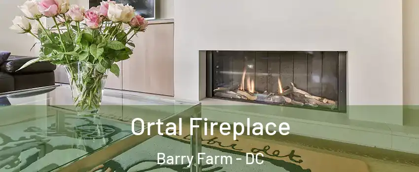 Ortal Fireplace Barry Farm - DC