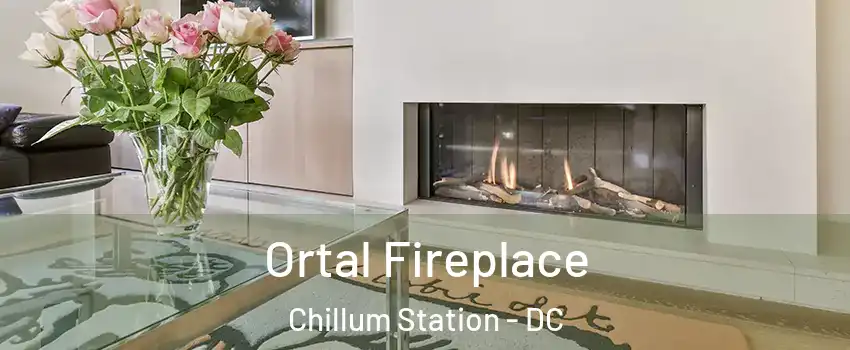 Ortal Fireplace Chillum Station - DC