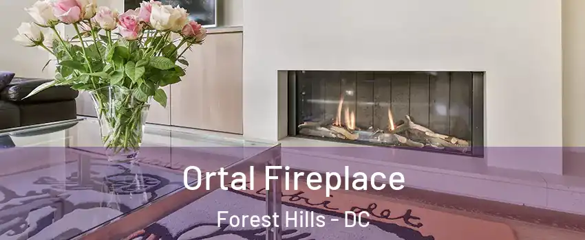 Ortal Fireplace Forest Hills - DC