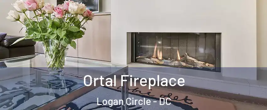 Ortal Fireplace Logan Circle - DC