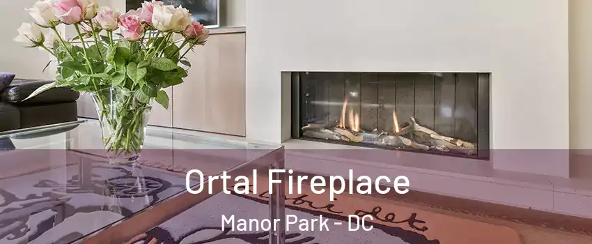 Ortal Fireplace Manor Park - DC