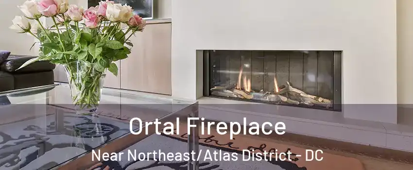 Ortal Fireplace Near Northeast/Atlas District - DC