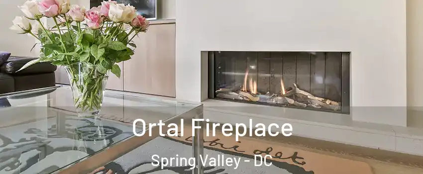 Ortal Fireplace Spring Valley - DC