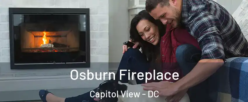 Osburn Fireplace Capitol View - DC