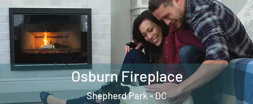 Osburn Fireplace Shepherd Park - DC