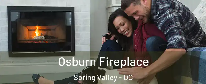 Osburn Fireplace Spring Valley - DC