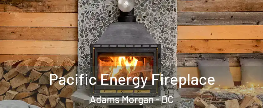 Pacific Energy Fireplace Adams Morgan - DC