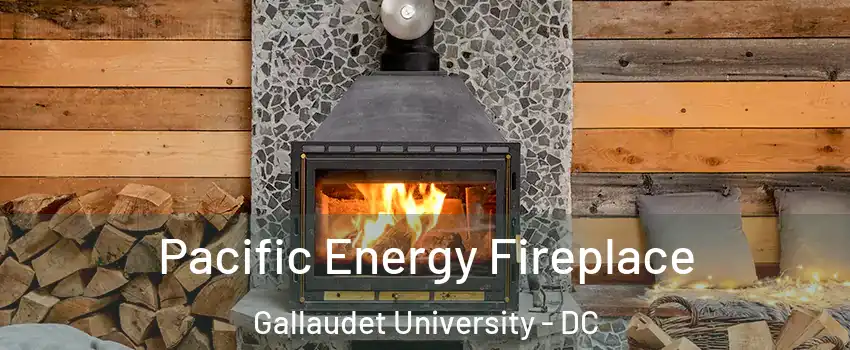 Pacific Energy Fireplace Gallaudet University - DC