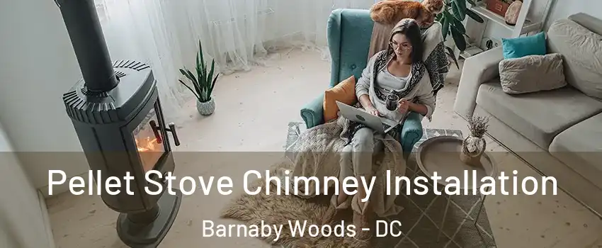 Pellet Stove Chimney Installation Barnaby Woods - DC