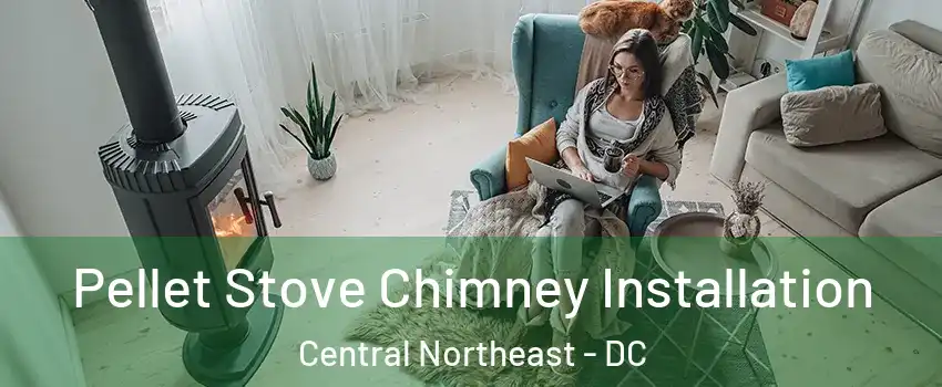 Pellet Stove Chimney Installation Central Northeast - DC