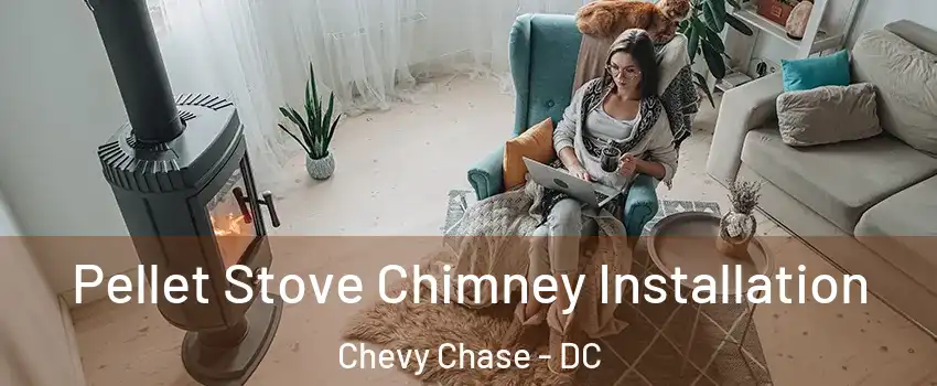 Pellet Stove Chimney Installation Chevy Chase - DC