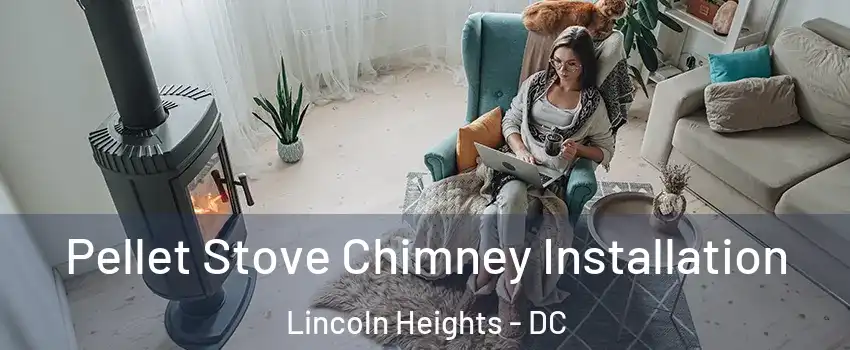 Pellet Stove Chimney Installation Lincoln Heights - DC