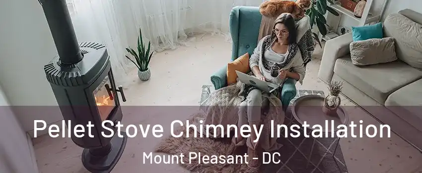 Pellet Stove Chimney Installation Mount Pleasant - DC