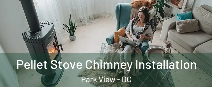 Pellet Stove Chimney Installation Park View - DC